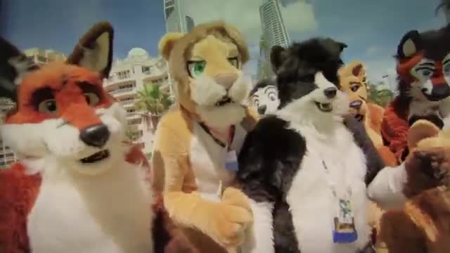 FurDU On Top of the World